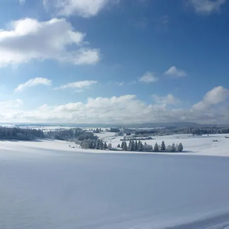 Wald Und Wiese - B 94 By Interhome Apartment