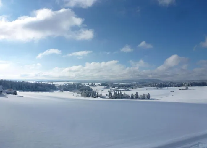 Wald Und Wiese - B 94 By Interhome Appartement