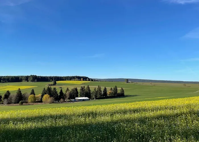 Wald Und Wiese - B 94 By Interhome Appartement Dittishausen